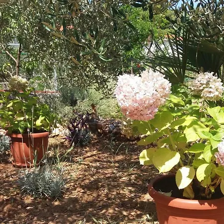Melem Apartament Stari Grad (Hvar)