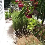 Melem * Stari Grad (Hvar)